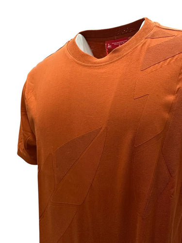 23y1001-250 Eagle T-shirt